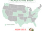 create infographics within 24 hrs